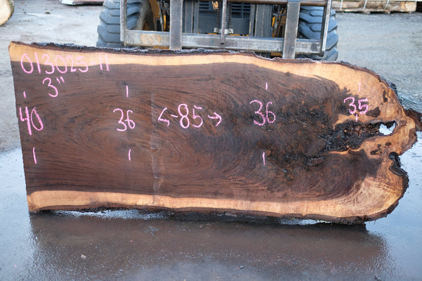 Oregon Black Walnut Slab 013025-11