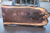 Oregon Black Walnut Slab 013025-11