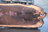 Oregon Black Walnut Slab 013025-11