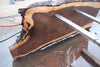 Oregon Black Walnut Slab 013025-12