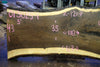 Oregon Black Walnut Slab 013025-1