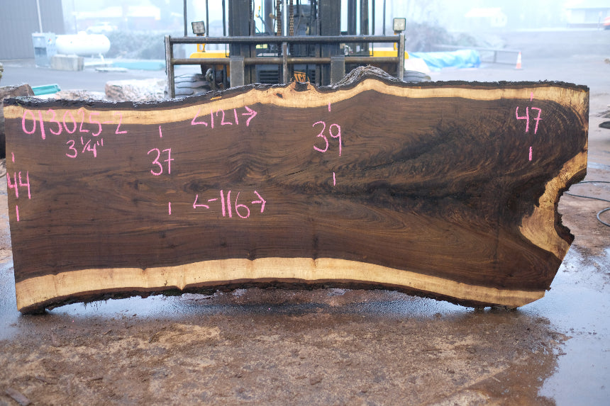 Oregon Black Walnut Slab 013025-2
