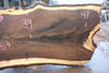 Oregon Black Walnut Slab 013025-2