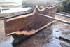 Oregon Black Walnut Slab 013025-3