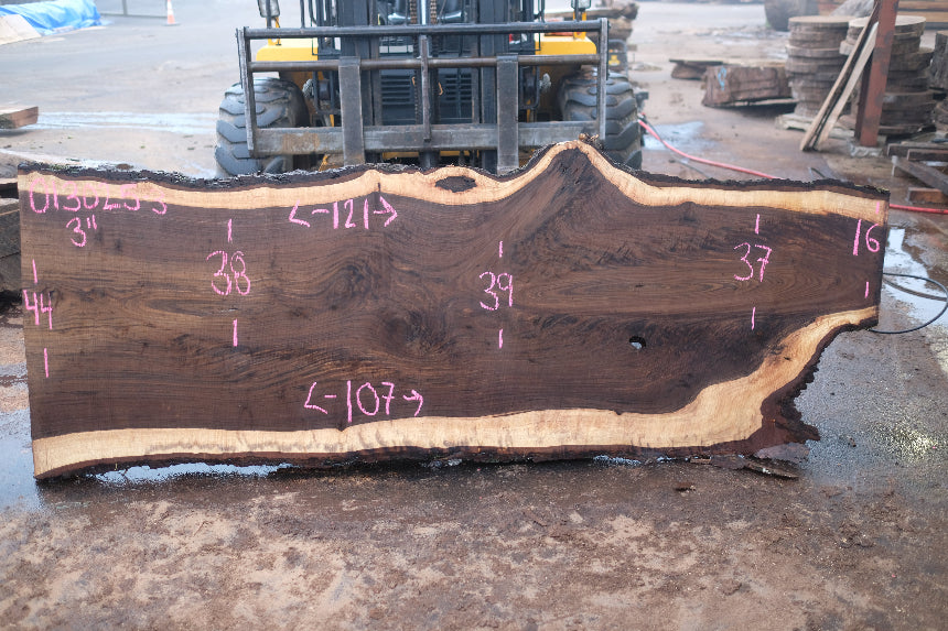 Oregon Black Walnut Slab 013025-3