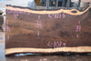 Oregon Black Walnut Slab 013025-3