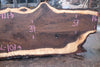 Oregon Black Walnut Slab 013025-3