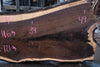 Oregon Black Walnut Slab 013025-4