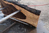 Oregon Black Walnut Slab 013025-5