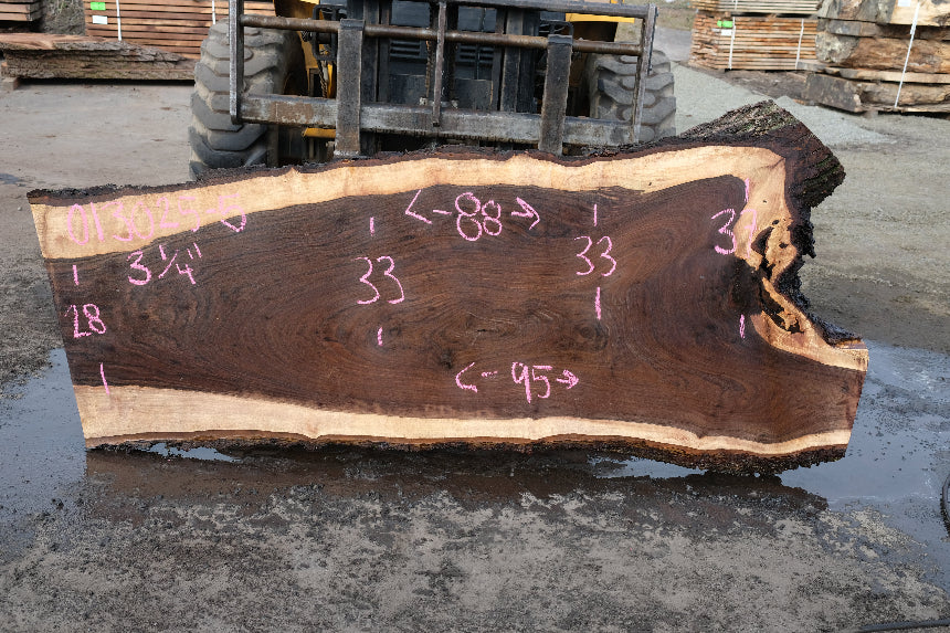 Oregon Black Walnut Slab 013025-5
