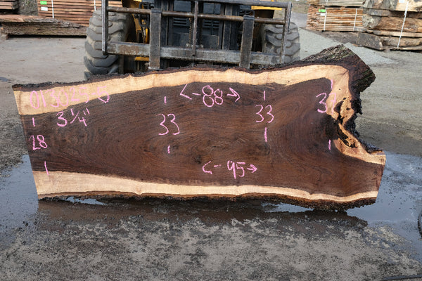 Oregon Black Walnut Slab 013025-5