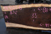 Oregon Black Walnut Slab 013025-5