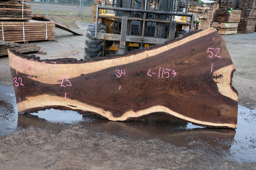 Oregon Black Walnut Slab 013025-7
