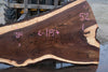 Oregon Black Walnut Slab 013025-7