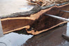 Oregon Black Walnut Slab 013025-8