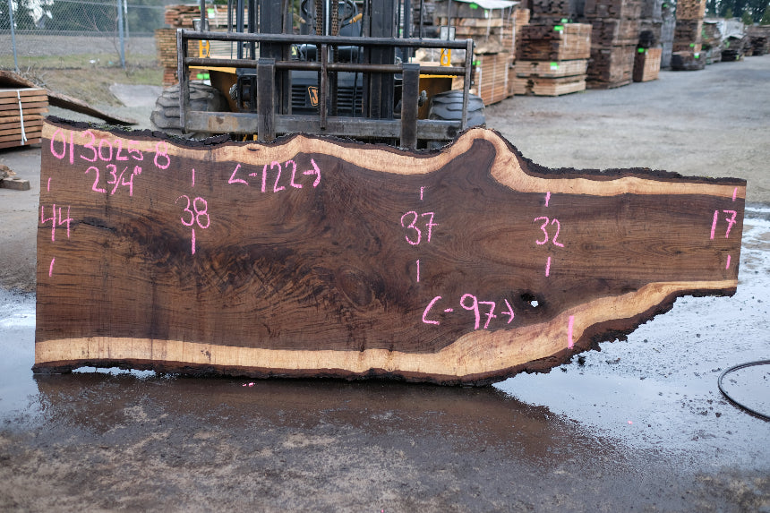 Oregon Black Walnut Slab 013025-8