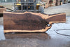 Oregon Black Walnut Slab 013025-9