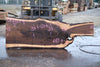 Oregon Black Walnut Slab 013025-9