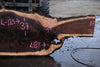 Oregon Black Walnut Slab 013025-9