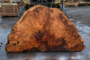 Big Leaf Maple Burl Round 020825-4