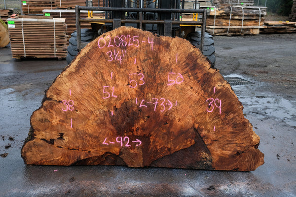 Big Leaf Maple Burl Round 020825-4