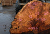 Big Leaf Maple Burl Round 020825-4