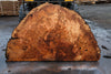 Big Leaf Maple Burl Round 020825-5