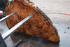 Big Leaf Maple Burl Round 020825-5