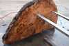 Big Leaf Maple Burl Round 020825-5