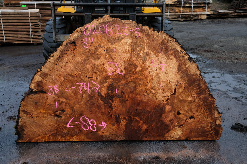 Big Leaf Maple Burl Round 020825-5