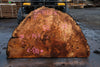 Big Leaf Maple Burl Round 020825-5