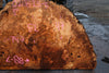 Big Leaf Maple Burl Round 020825-5