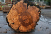 Big Leaf Maple Burl Round 020825-6