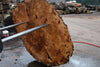 Big Leaf Maple Burl Round 020825-6