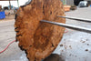 Big Leaf Maple Burl Round 020825-6