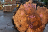 Big Leaf Maple Burl Round 020825-6