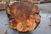 Big Leaf Maple Burl Round 020825-7