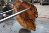 Big Leaf Maple Burl Round 020825-7