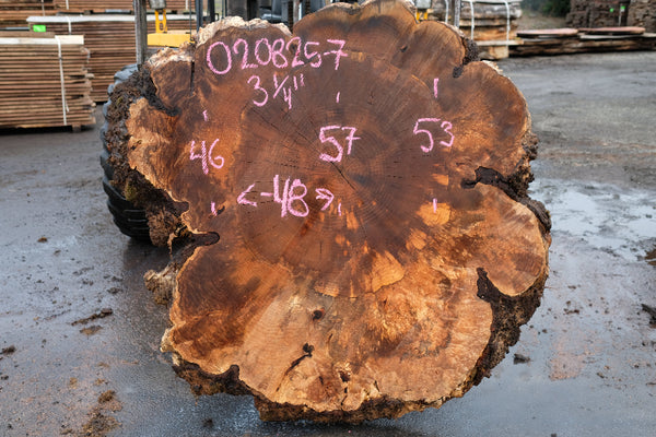 Big Leaf Maple Burl Round 020825-7
