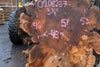 Big Leaf Maple Burl Round 020825-7