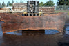 Oregon Black Walnut Slab 031325-01