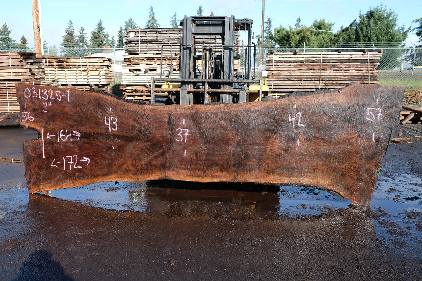Oregon Black Walnut Slab 031325-01