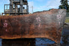 Oregon Black Walnut Slab 031325-01