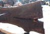 Oregon Black Walnut Slab 031325-02
