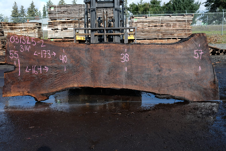 Oregon Black Walnut Slab 031325-02