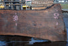 Oregon Black Walnut Slab 031325-02