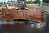 Oregon Black Walnut Slab 031325-03