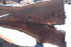 Oregon Black Walnut Slab 031325-03