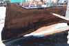 Oregon Black Walnut Slab 031325-03