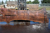 Oregon Black Walnut Slab 031325-03